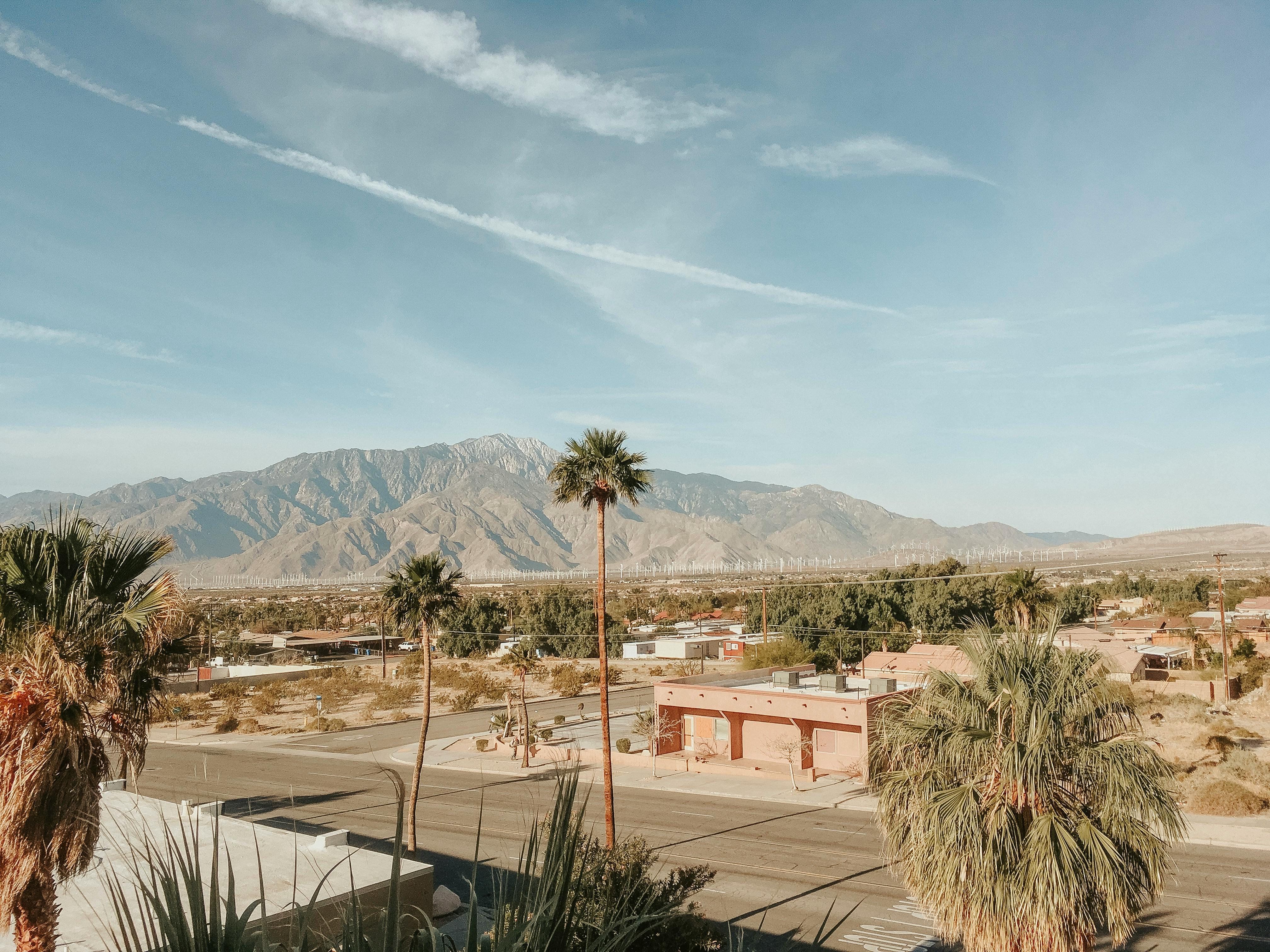 Palm Springs Dog Friendly Hotels