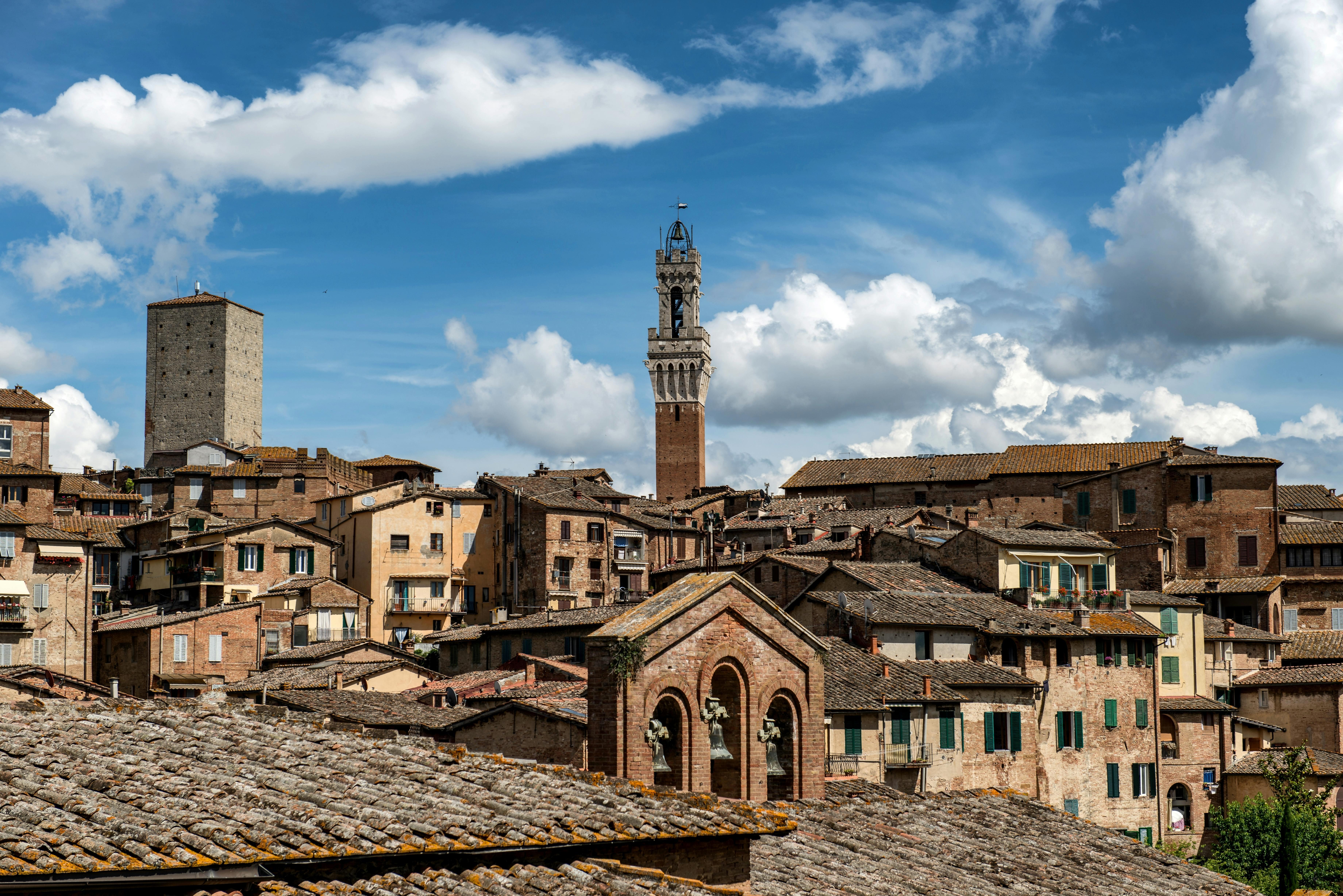 Hotéis que aceitam cães de Siena
