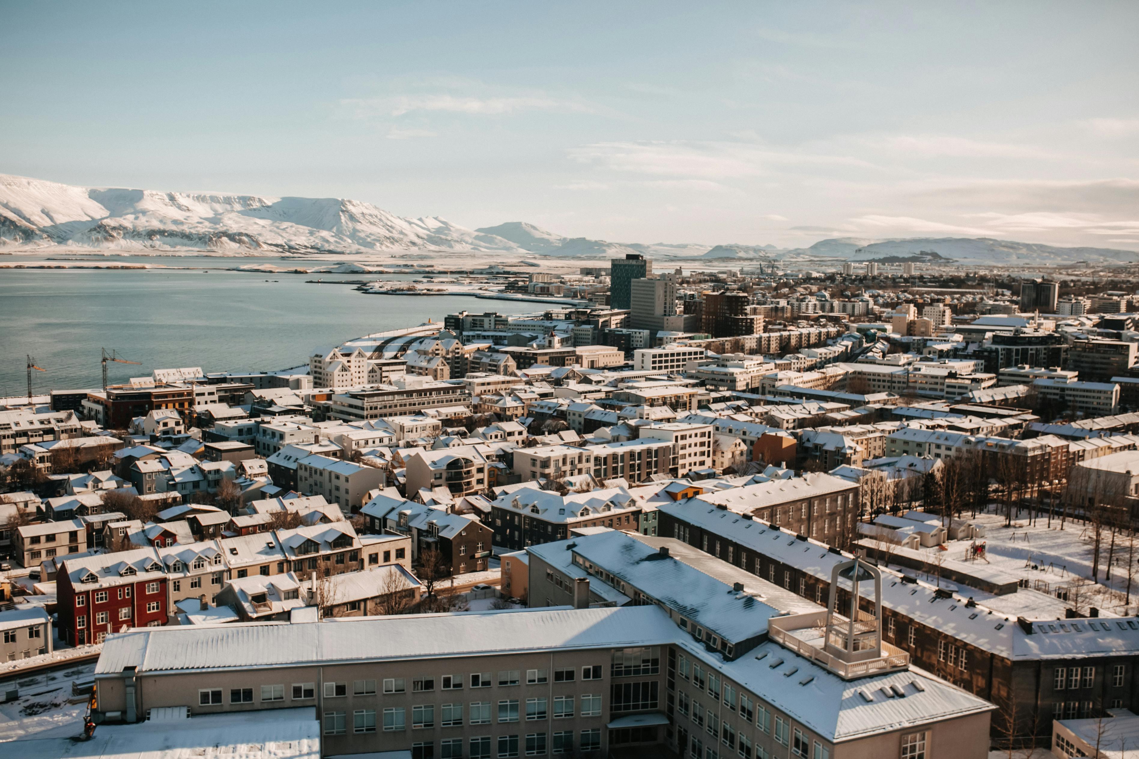 Reykjavik Dog Friendly Hotels